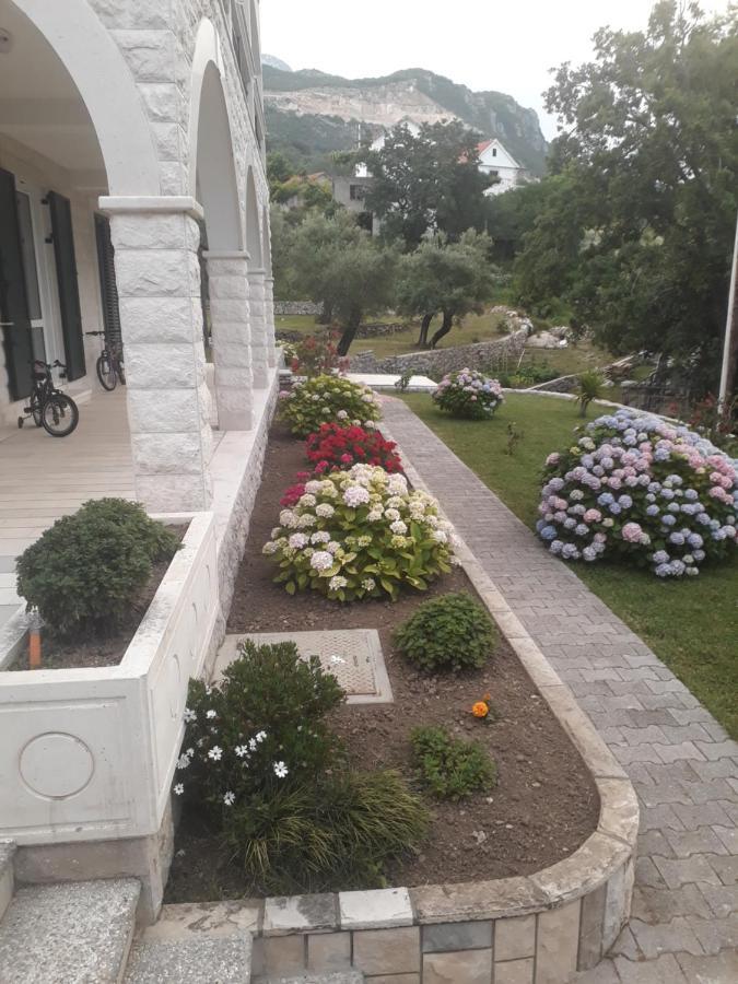 Apartmani Andrea Herceg Novi Ngoại thất bức ảnh